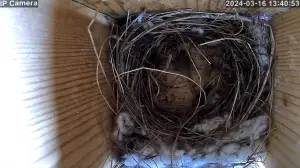 Jacquelien 03 Het wordt nu serieus